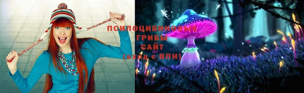 герыч Медногорск