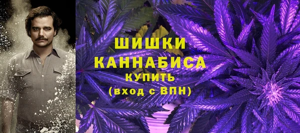 молекула духа Магас