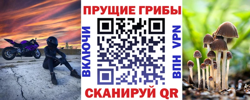 Галлюциногенные грибы мухоморы  МЕГА   Чернушка 