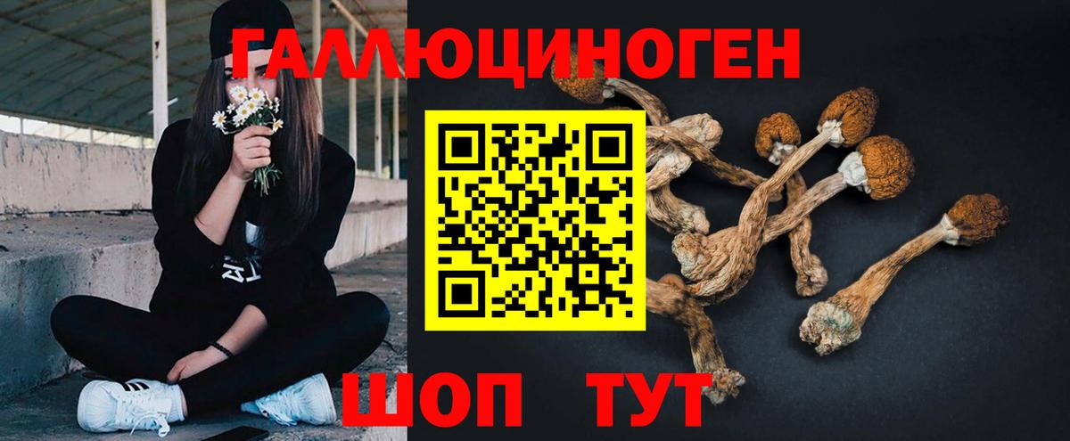 Псилоцибиновые грибы ЛСД  Чернушка 