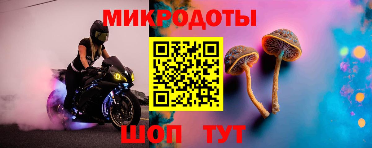 Галлюциногенные грибы мицелий Чернушка