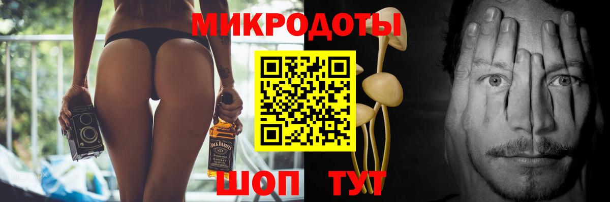 Галлюциногенные грибы Psilocybe  наркошоп  Чернушка  Вход с VPN 